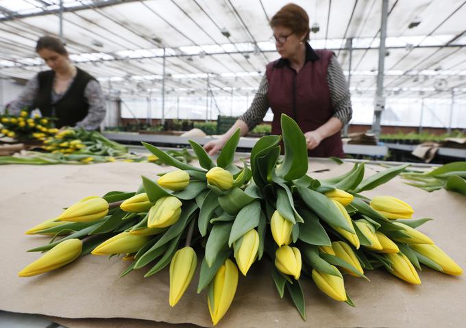 "8. marec ne sme biti zreduciran na kupovanje rož, organizacijo nakupovalnih izletov in partikularne zahteve," opozarjajo v Inštitutu 8. marec. | Foto: Reuters