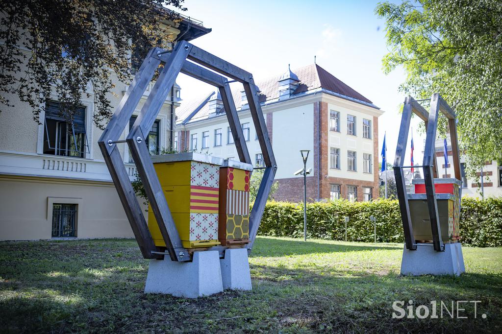 Urbani čebelar Ljubljana