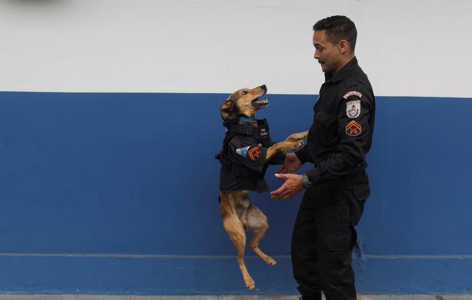 policijski pes, Brazilija | Foto: Reuters