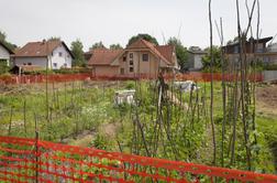 Ljubljanski skupnostni vrt, ki ga bodo izničili buldožerji