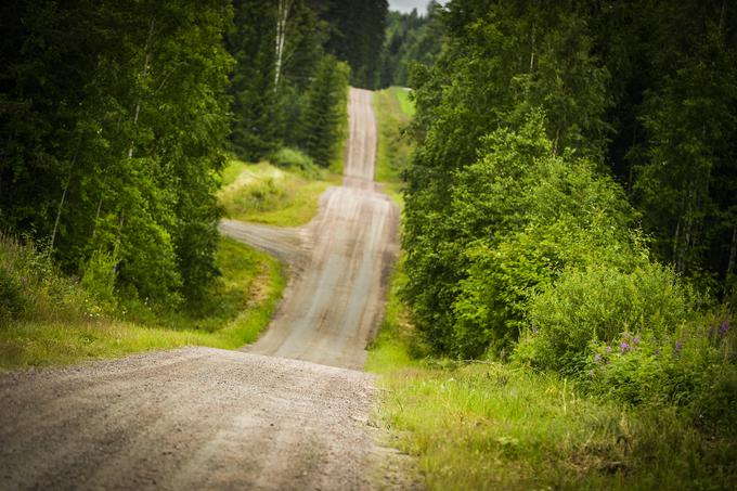 Finske makadamske ceste so pravi raj za avtomobilske navdušence. | Foto: M-Sport