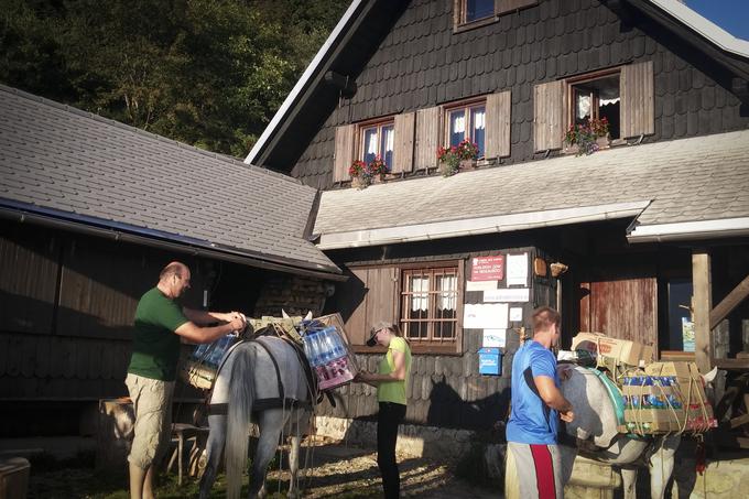 Tovor do Roblekovega doma znosijo s pomočjo konj. | Foto: Alenka Teran Košir