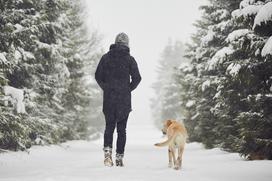 hoja sprehod sneg