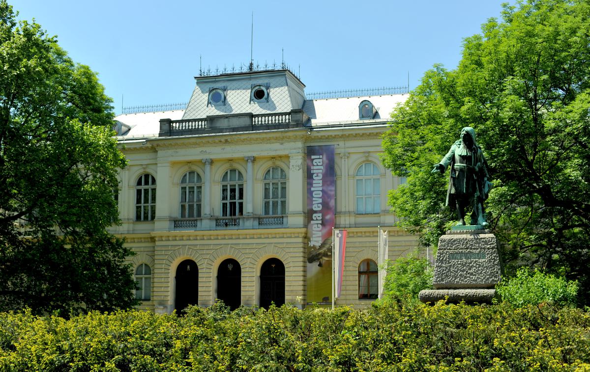 Narodni muzej Ljubljana |  Gre za dela, ki bi morala biti lanskega junija del razstave Narodnega muzeja Slovenije.  | Foto STA