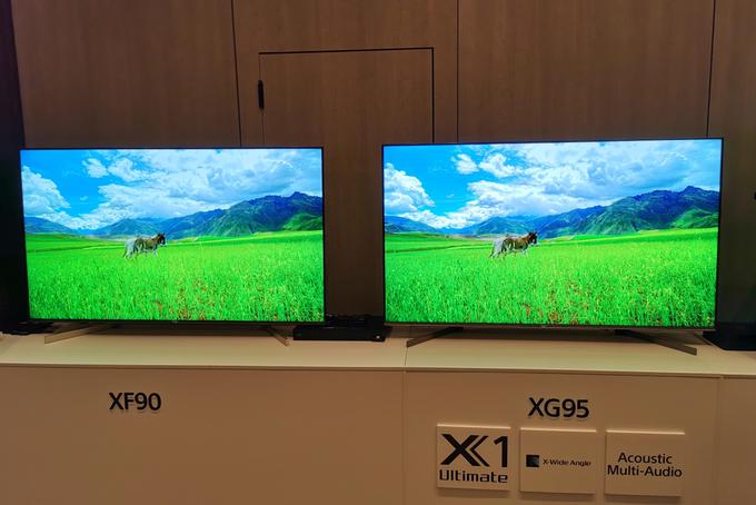 Na tej fotografiji se tega sicer ne vidi, a v živo je mogoče na zaslonu XG95 veliko bolje razločiti tudi posamezne travne bilke in celo konjsko dlako. | Foto: Matic Tomšič