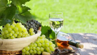 Ideja za konec tedna: v slovensko deželo vina!