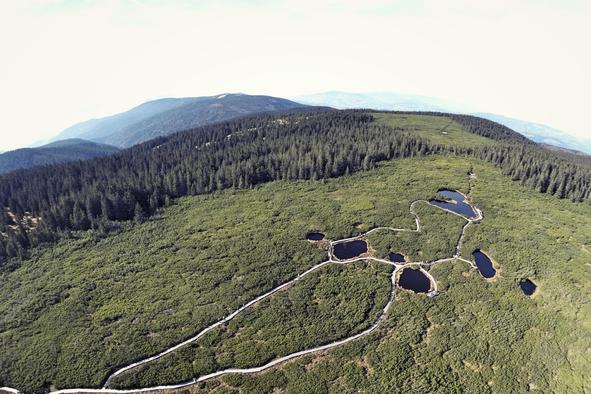 Na Lovrenškem barju kot v deželi Vikingov