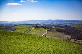 Strade Bianche pokrajina