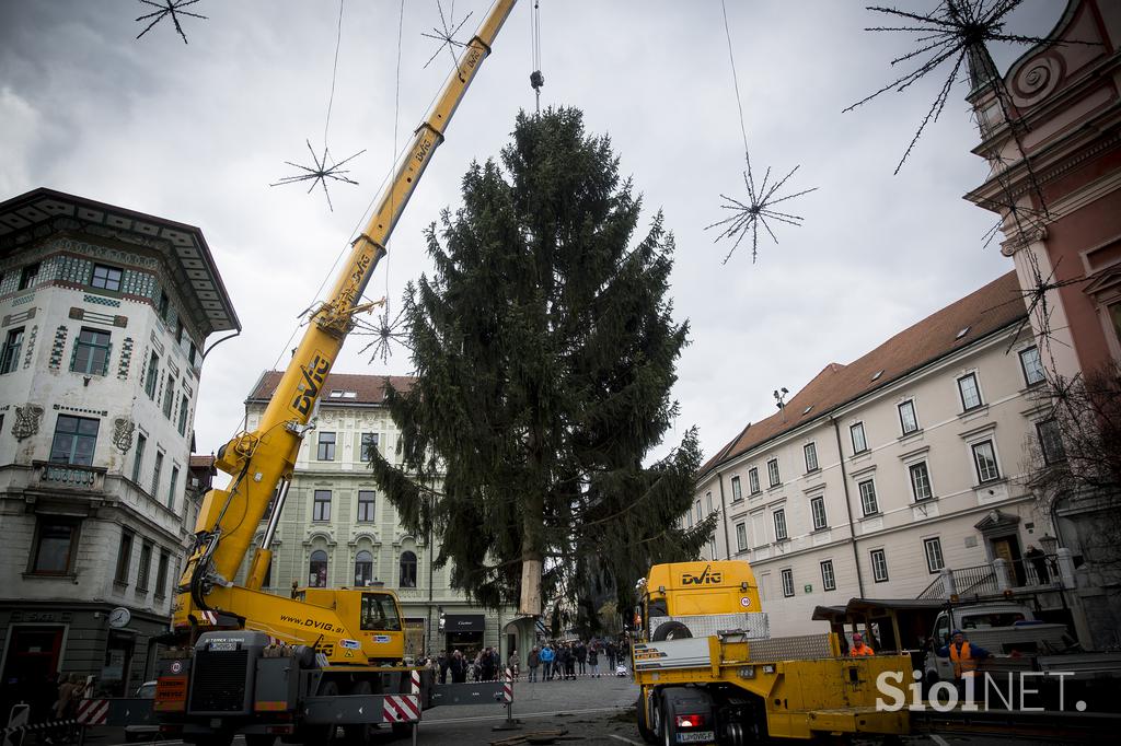 Novoletna smreka v Ljubljani Prešernov trg