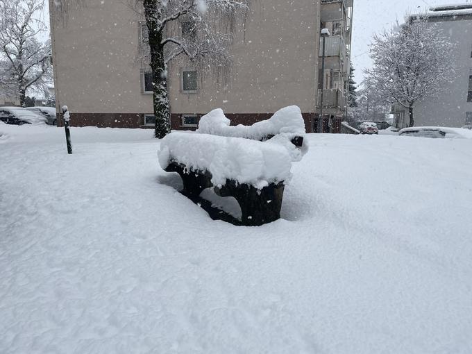 Snežna odeja v Novem mestu | Foto: Š. L.