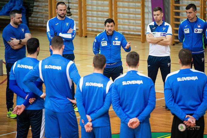 Slovenska rokometna reprezentanca Ljubomir Vranješ | Ljubomir Vranješ je trenutno na Švedskem. | Foto Grega Valančič/Sportida
