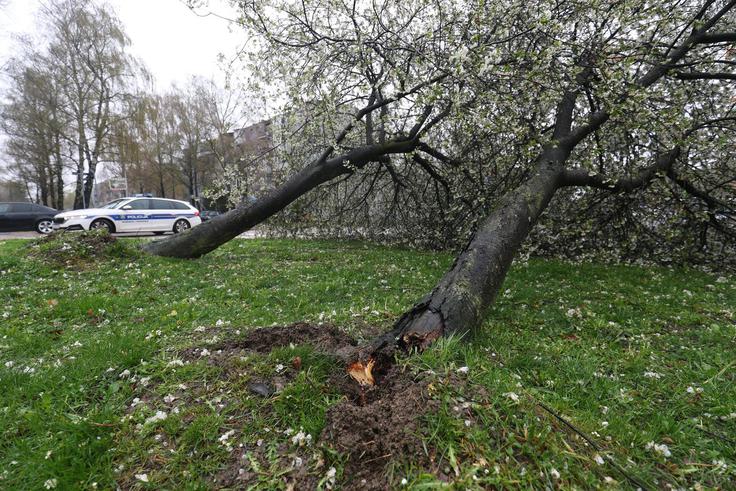 veter, Zagreb, vreme | Foto: Igor Kralj/Pixsell