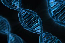 Slovenski raziskovalci odkrili pomembne informacije o DNK