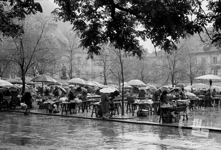 Vodnikov trg Ljubljanska tržnica leta 1964 | Foto: Marjan Ciglič, hrani MNZS