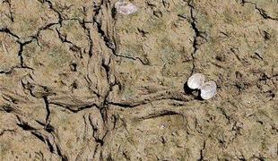 ZDA se soočajo z rekordno sušo