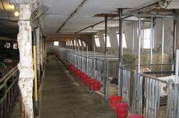 Evropsko tožilstvo z novo obtožnico v Sloveniji