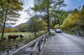 citroen c4 hibrid