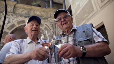 Vinski sejmi so za posel, festivali za užitek