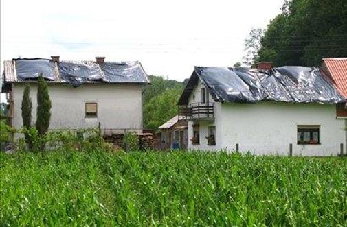 SLS poziva vlado k aktivni obrambi pred točo