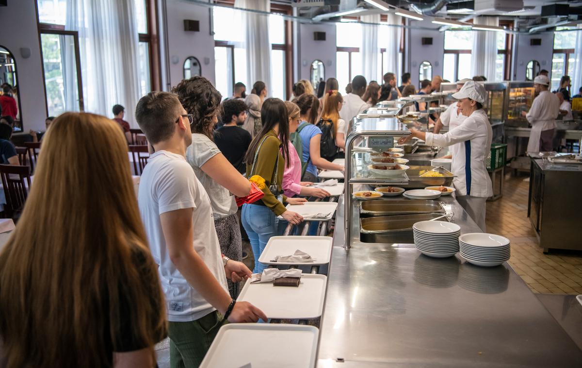 Šolsko kosilo | Z novim zakonom je predviden tudi pilotni projekt osrednje šolske kuhinje, kjer bi lahko pripravili večje število zdravih obrokov za več vzgojno-izobraževalnih zavodov.  | Foto Shutterstock