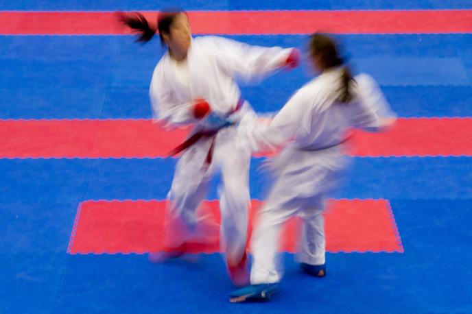 Karate splošna | Foto Vid Ponikvar