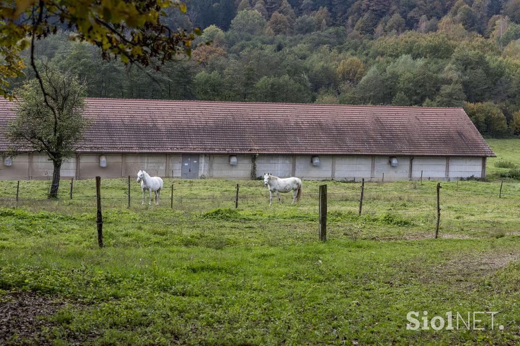 Pedagoško raziskovalni center za konjerejo Krumperk