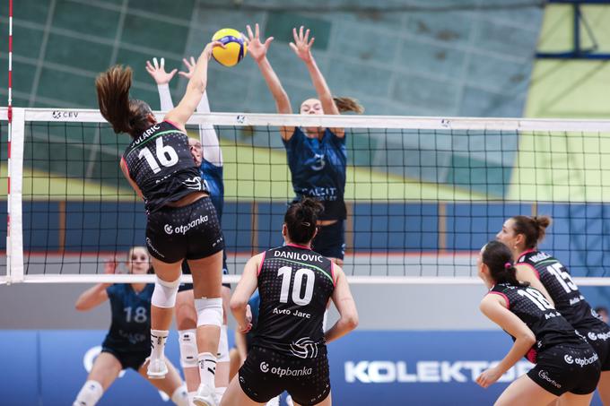 Calcit Volley - Nova KBM Branik, 1. DOL, odbojka | Foto: Aleš Fevžer