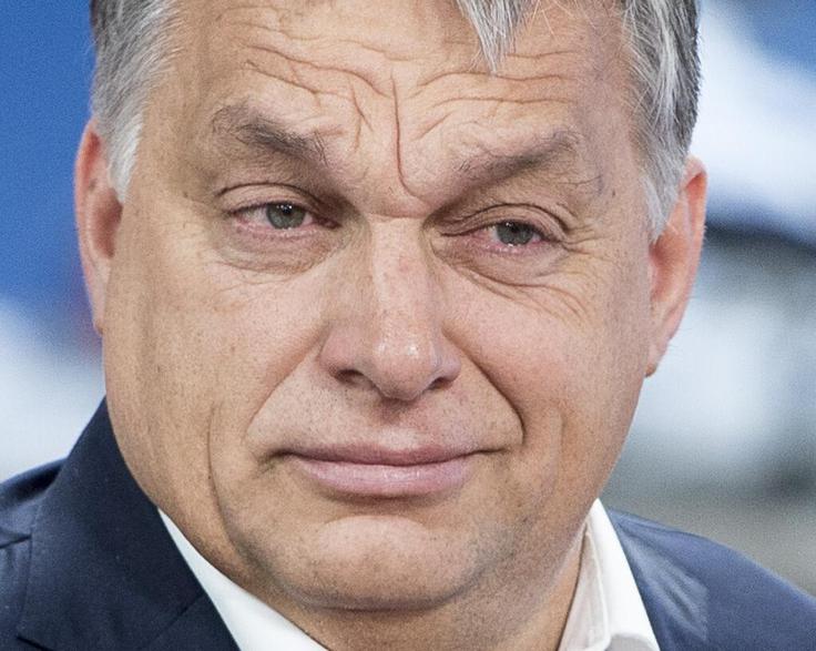 Ali Viktor Orban, ki prihaja z madžarskega podeželja, goji zamere do liberalnih budimpeških intelektualcev, ker so ga zavračali zaradi njegovega izvora? | Foto: Guliverimage