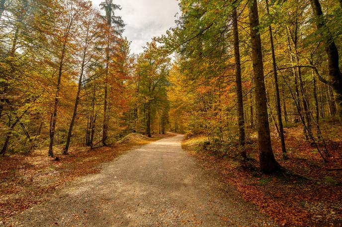 Dolina Vrata, foto Aleš Krivec_1200 | Foto Aleš Krivec / Turizem Kranjska Gora