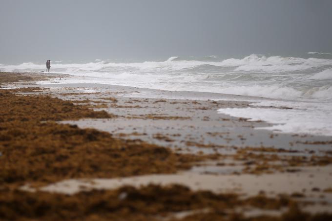 Irma ZDA | Foto: Reuters