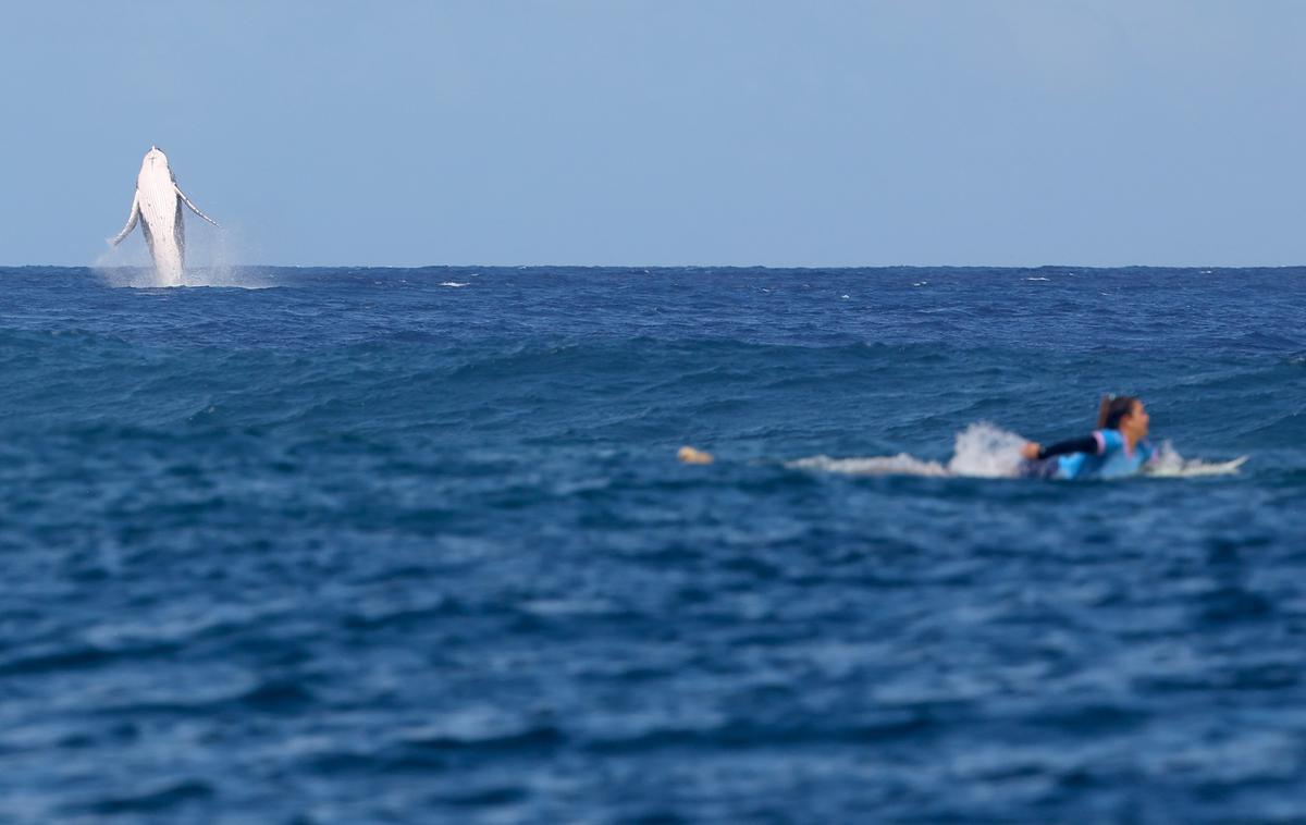 Kit Tahiti | Tako je kit "popestril" polfinalni dvoboj med predstavnicama Brazilije in Kostarike na Tahitiju. | Foto Reuters