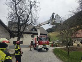 Burja, Primorska, vetrolom