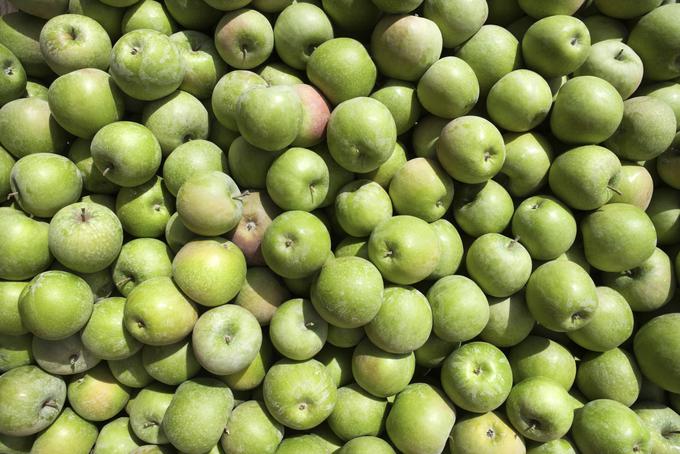 Na manjšo količino proizvodnje domačega sadja je že dvakrat vplivala spomladanska pozeba. | Foto: Thinkstock