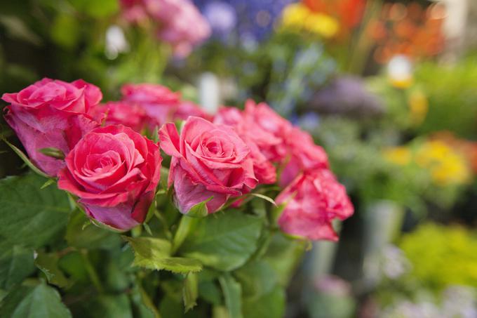 vrtnice | Foto: Thinkstock