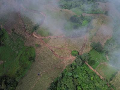 El Nino se bo po napovedih še okrepil, vrhunec decembra