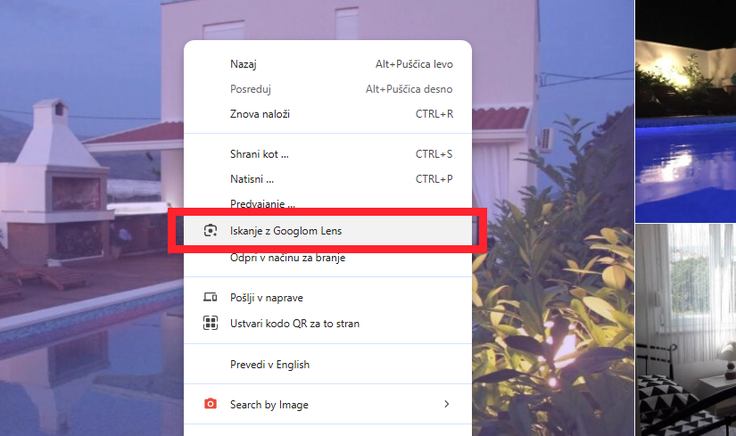 Iskanje fotografij z orodjem Google Lens.  | Foto: Posnetek  zaslona