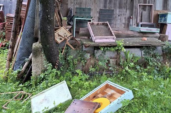 čebelarstvo, panj, čebelji panj | Čebelar z Medvedjega Brda je delil razdejanje, ki ga je na njegovih panjih za seboj pustil medved. | Foto Facebook/Alojz Gantar