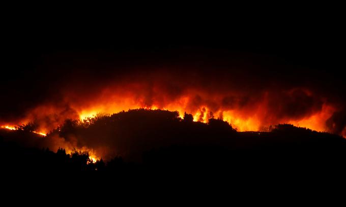 Požar Portugalska | Foto: Reuters