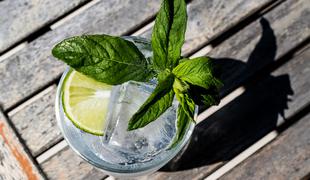 Znate zmešati popoln gin tonic? #video