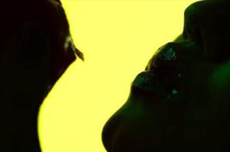 Sveži videospot zasedbe Animal Collective režiral Gaspar Noé