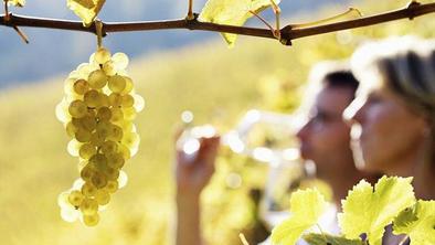 Vino in hrana združujeta slovensko in italijansko Gorico