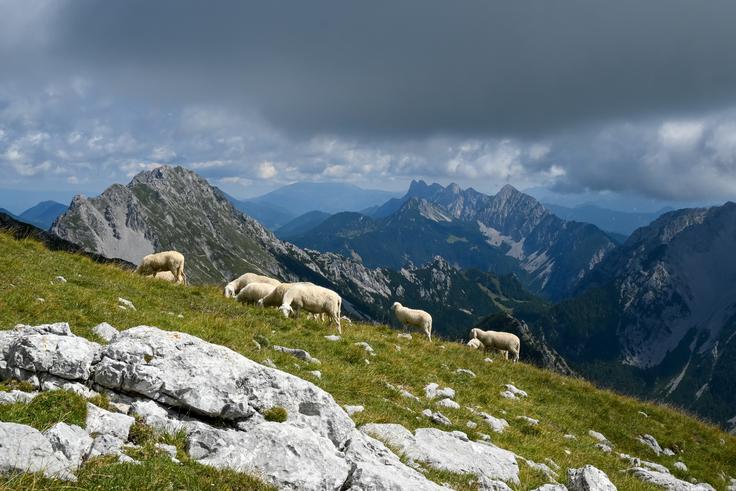 Na sestopu se nam odpre pogled na Vrtačo, Zelenico in Begunjščico, v ozadju sta Košutica in greben Košute. | Foto: Matej Podgoršek