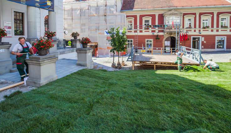 Včeraj je šest delavcev urbani prostor v starem ptujskem mestnem središču v šestih urah preobrazili v zelenico. Projekt je po besedah programskega vodja festivala Art Stays Jerneja Forbicija poklon inteligenci narave in nemškemu umetniku Josephu Beuysu, ki je bil navdih za temo letošnje izdaje tega umetnostnega dogodka. | Foto: Albin Bezjak