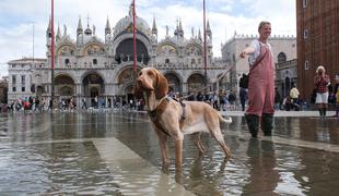 To naredijo v poplavljenih Benetkah, da si ne zmočijo nog #video #foto
