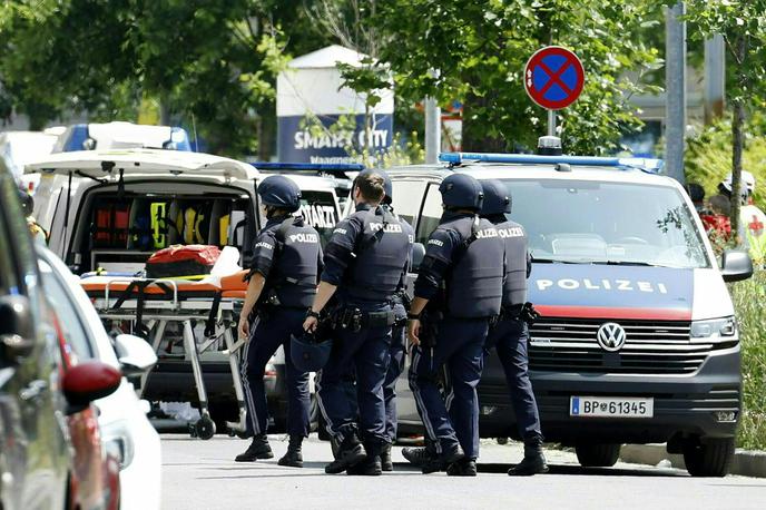 Gradec, streljanje, šola | Foto Profimedia