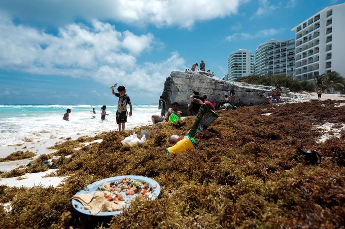 Cancun alge | Foto: Reuters
