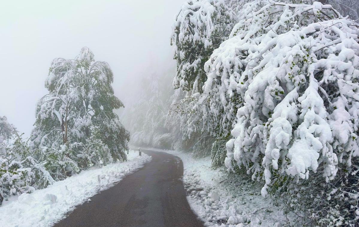 snegolom, Meteoinfo Slovenija | Foto Rok Nosan / Meteoinfo Slovenija