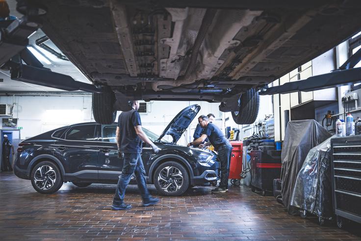 citroen avtohiša kos | Foto: Ana Kovač