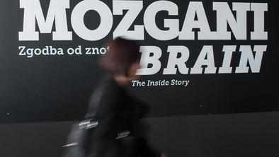 V možganih je za 200 tisoč kilometrov povezav