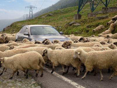 ​​​​​​​Stroški zdravljenja v tujini lahko dosežejo več tisoč evrov. Ste res dovolj zaščiteni?